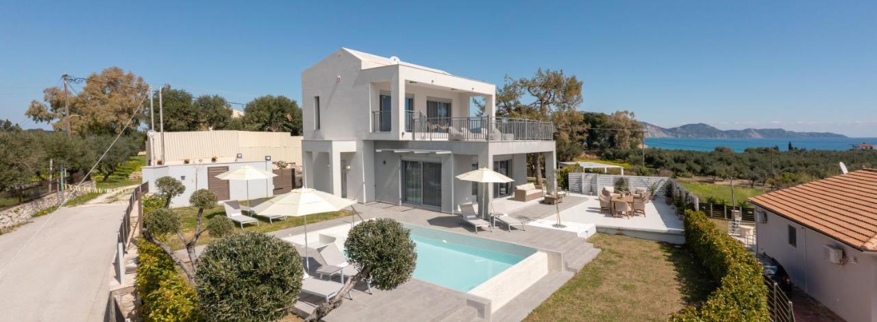 Villa Nick Art Lithakia  Extérieur photo